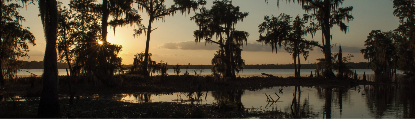 Louisiana: Rolling Down the River